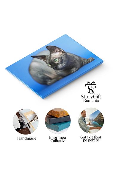 StoryGift Romania Canvas Print: Rare Hairless Sphynx Cat, Black, Eccentric and Elegant P