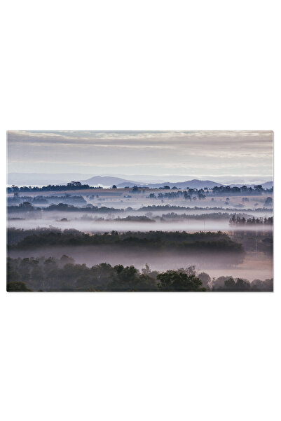 StoryGift Romania Tablou Canvas Cea De Dimineata La Rasarit In Hunter Valley, Australia, Ceai, Rasarit, Peisaj 24