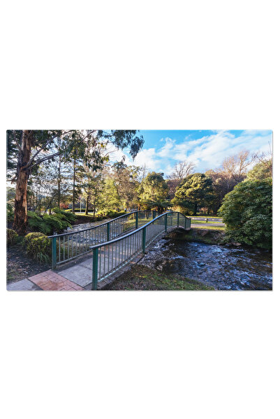 StoryGift Romania Tablou Canvas Parcul Gallipoli In Marysville, Australia Pei...