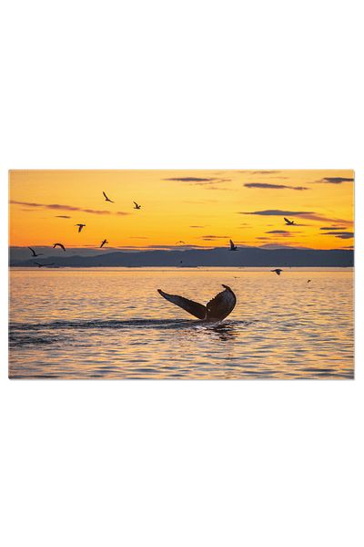 StoryGift Romania Tablou Canvas: Subacvatic Si Fascinant - Balena Megaptera In Armonie Cu Marea Si Valurile Sale
