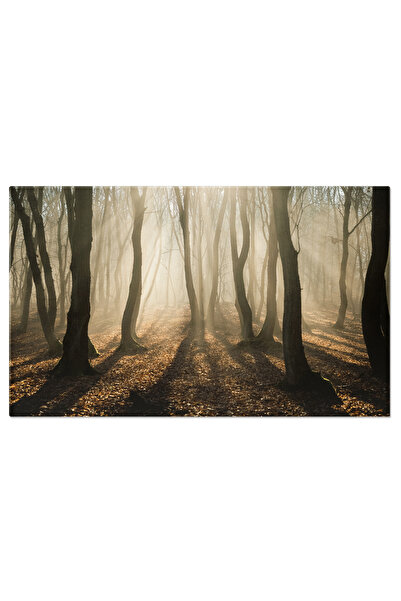 StoryGift Romania Tablou Canvas Toamna Mistica: Peisaje Si Culori Melancolice