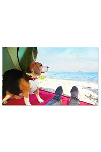 StoryGift Romania Tablou Canvas Caine Beagle In Cort Cu Stapanul Sau, Camping, Calatorie, Caine, Natura 13