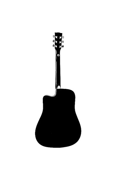 Parrot Electro Acoustic Guitar, Parrot DG200CE NT, Natural, with cutaway and 4-band EQ