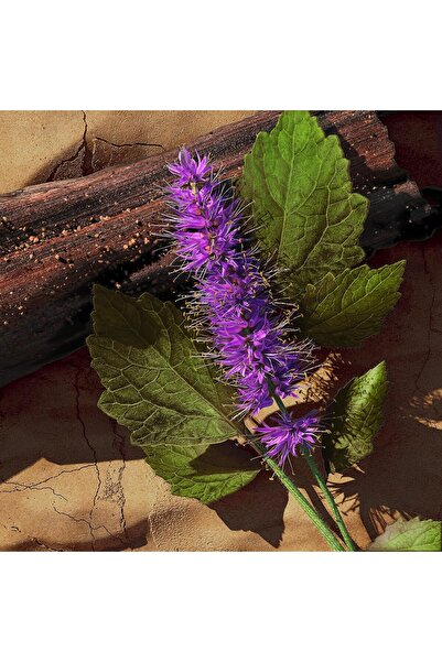 Davidoff Eau de Toilette for Men 125ml, 118854