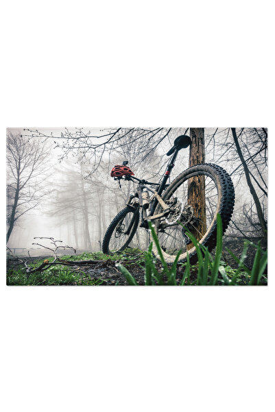 StoryGift Romania Tablou Canvas Bicicleta De Munte Si Casca In Padurea Toamne...