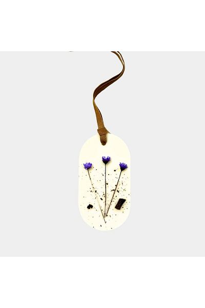 Ziani Scented wax cabinet air freshener - Blueberry, Jasmine, Vanilla, 25 g