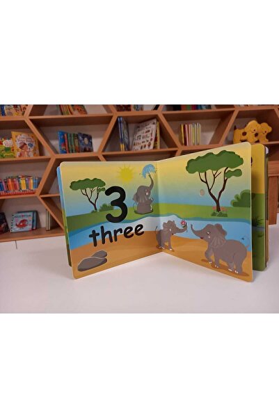 TURTLEKİDS Sound Of The Numbers