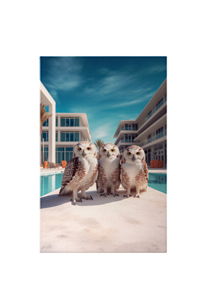 StoryGift Romania Tablou Canvas: Trei Bufnite La Piscina - Relaxare Pictura D...