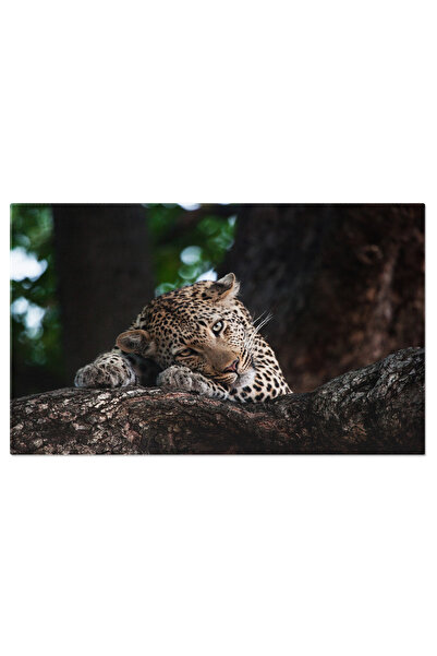 StoryGift Romania Tablou Canvas - Pielea Leopardului: Eleganta Naturala Si Te...