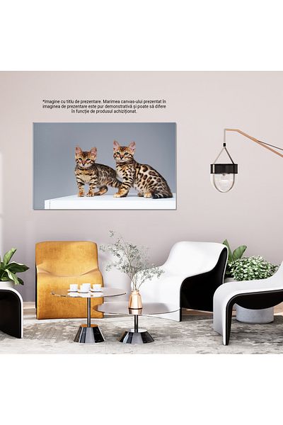 StoryGift Romania Tablou Canvas - Doua Pisici Bengal, Joc Si Expresie, Pufos Si Stralucitor
