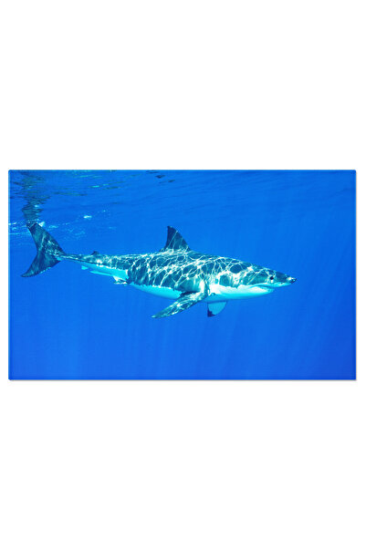 StoryGift Romania Tablou Canvas: In Lumea Adancurilor - Rechin Mare Alb, Mare...