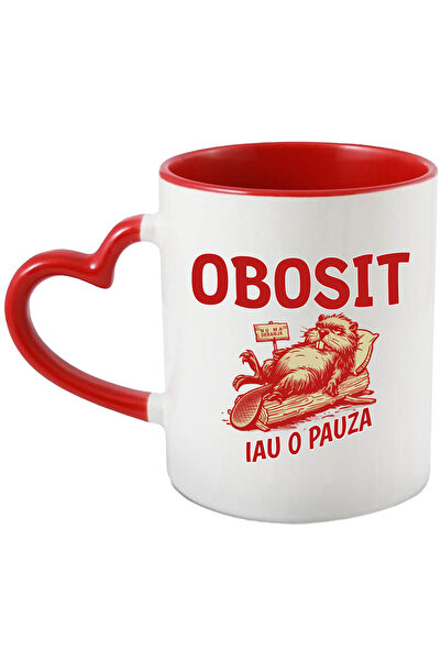 StoryGift Romania Cana Castor Haios Text Obosit Iau O Pauza Nu Ma Deranja, 33...