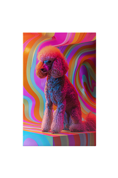 StoryGift Romania Tablou Canvas: Poodle Grațios Ce Stă Cu Eleganță Pe Un Podi...