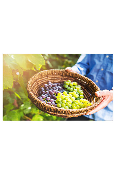 StoryGift Romania Tablou Canvas: Culegere De Struguri - Agricultura Si Recoltare