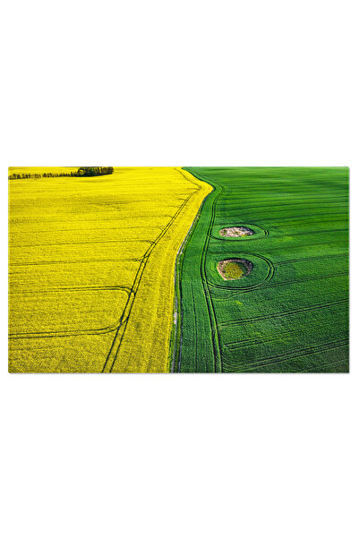 StoryGift Romania Tablou Canvas Cu Camp De Rapita In Vara - Cultura, Galben, ...