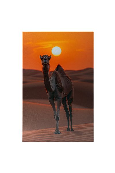 StoryGift Romania Canvas Painting: Nightfall And The Sun Illuminates The Dromedary Like A Fireball In The Pictu Desert