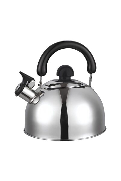 Hausberg Stainless steel kettle with whistle HAUSBERG HB-H464IN, induction base, Capacity 1.6L