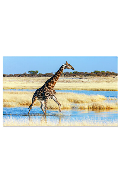 StoryGift Romania Tablou Canvas Familia De Girafe In Parcul National Etosha, ...