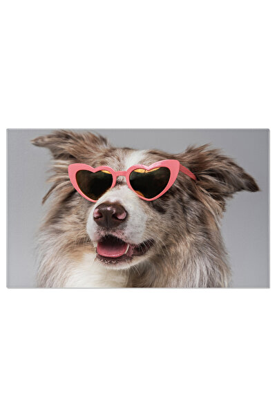 StoryGift Romania Tablou Canvas: Border Collie Cu Ochelari De Soare - Moda Canina