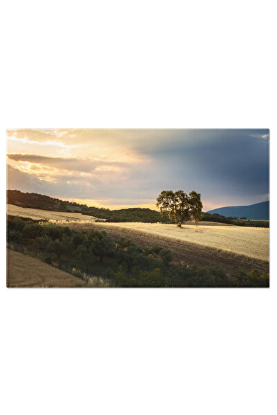 StoryGift Romania Tablou Canvas Campul De Aur, Peisaj Abstract, Aur, Natura, ...