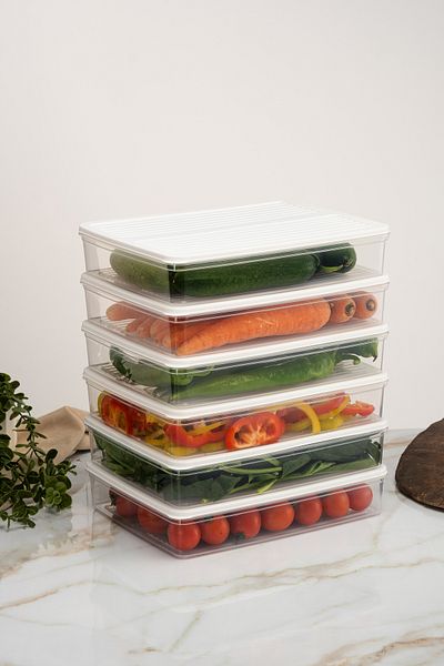 Evrio 6-Piece Anthracite (6 X 2400) ml Refrigerator Organizer Microwave and Freezer Suitable Ice Cabinet Storage Container