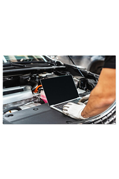 StoryGift Romania Tablou Canvas: Analiza Detaliata A Vehiculului, Echipamente...