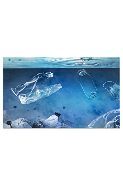 StoryGift Romania Tablou Canvas Protejarea Mediului - O Ilustratie Grafica A ...