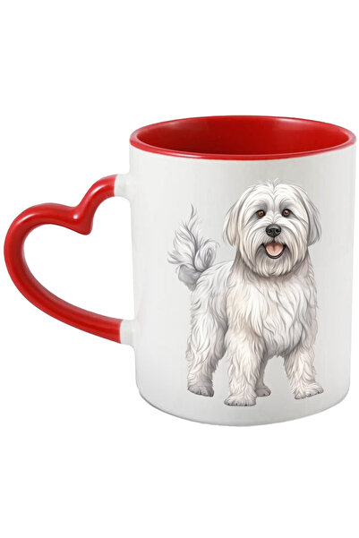 StoryGift Romania Cana Cu Un Caine Alb | Blanos | Ilustratie | Curios | Ascul...