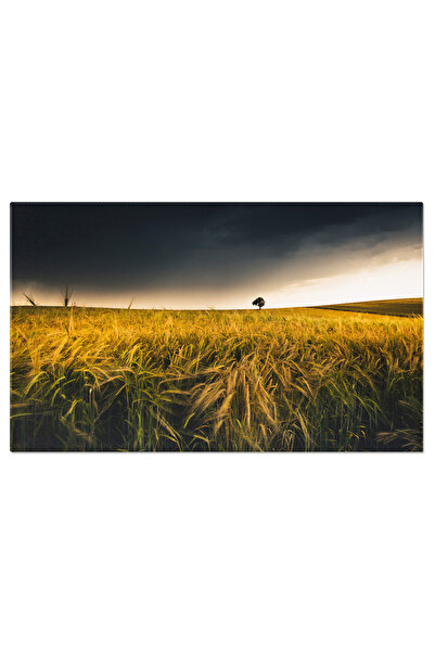 StoryGift Romania Tablou Canvas Arbore Intr-un Camp De Grau, Natura, Peisaj, ...