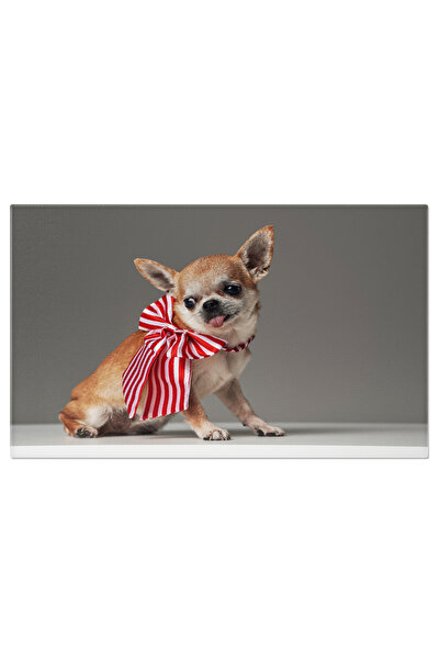 StoryGift Romania Tablou Canvas: Catel Mic Cu Papion - Stil Bizar Si Amuzant