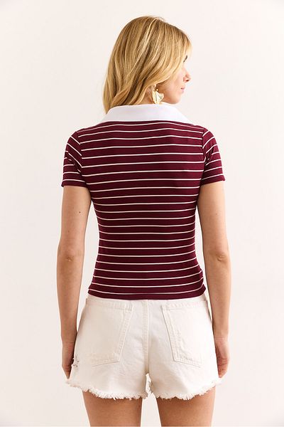 Olalook Women's Burgundy Polo Neck Striped Stretchy Blouse Blz-19002992