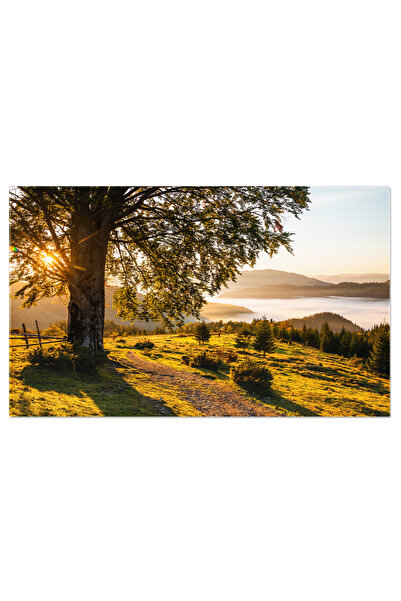 StoryGift Romania Tablou Canvas: Razele Diminetii - Frumusetea Naturii In Pri...