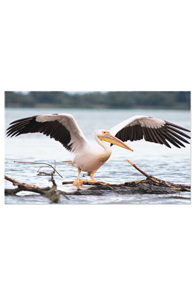 StoryGift Romania Tablou Canvas Cu Apus Si Peisaje Lacustre - Eleganta In Sta...