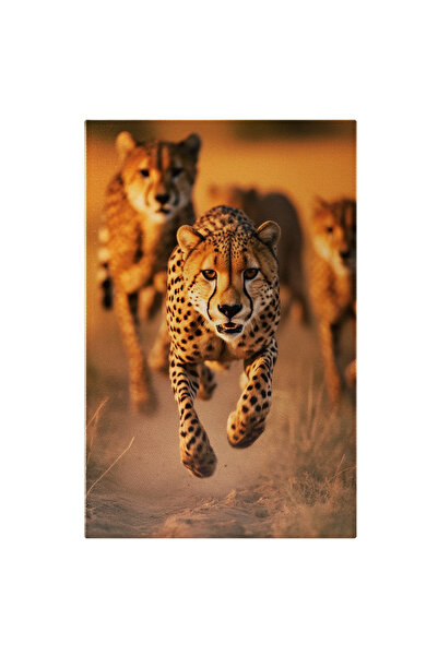 StoryGift Romania Tablou Canvas: Gheparzi Care Alearga In Salbaticie - Viteza...