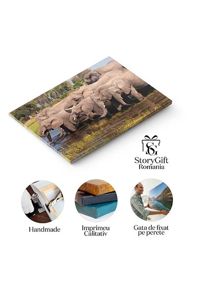 StoryGift Romania Tablou Canvas - Fuga Elefantilor Din Sudul Africii, Apa, Natura