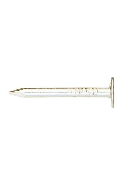 ACE Electro-Galvanized Smooth Shank Roofing Nails 1 Inch