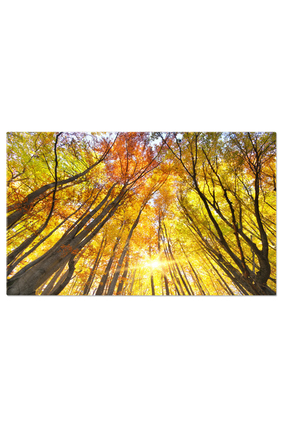 StoryGift Romania Tablou Canvas In Padurea De Toamna, Frunze, Peisaj Natural,...