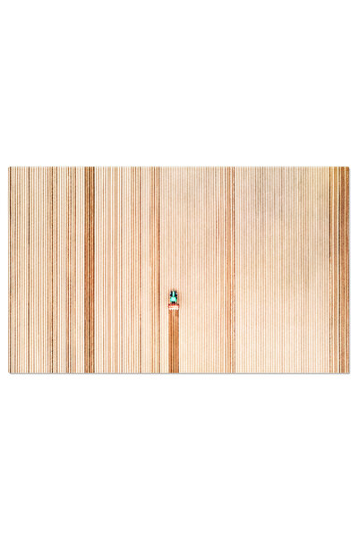 StoryGift Romania Tablou Canvas: Agricultura Traditionala In Randuri - Rostur...