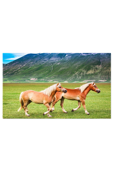 StoryGift Romania Tablou Canvas - Cai In Peisaj Natural: Farmecul Vietii In I...