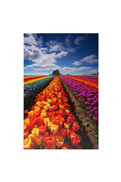 StoryGift Romania Tablou Canvas: Câmp De Lalele Colorate Și Casă Din Lemn- Na...