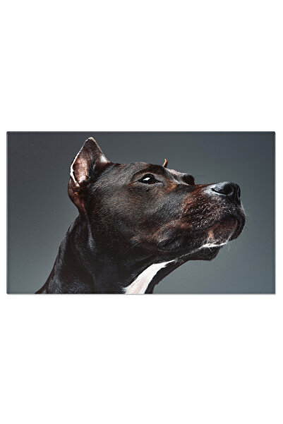 StoryGift Romania Tablou Canvas Cu Staffordshire Bullterrier - Eleganta Si Lo...