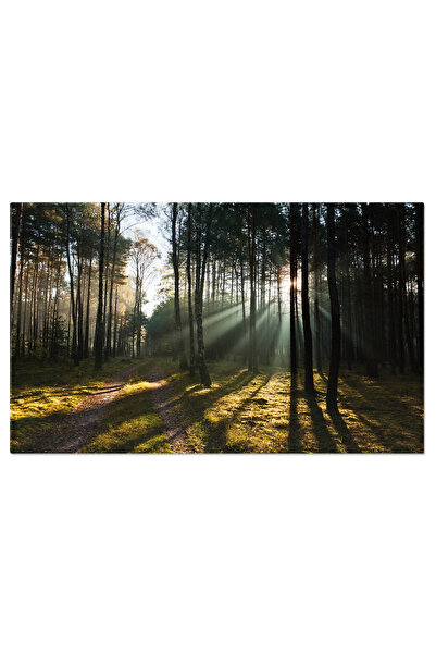 StoryGift Romania Tablou Canvas: Miracolul Diminetii - Peisajul Frumos Al Toa...