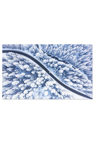 StoryGift Romania Tablou Canvas Drum Si Padure Iarna, Zapada, Calatorie, Peis...