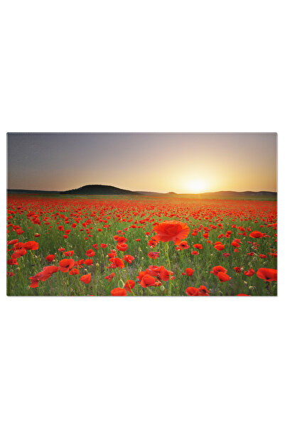 StoryGift Romania Tablou Canvas Pajiste De Maci La Apus: Rosu, Apus, Flori, Peisaj, Vara. 4179