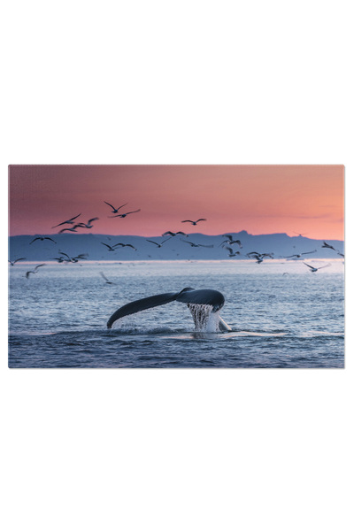 StoryGift Romania Tablou Canvas: O Intalnire Subacvatica Magica Cu Megaptera ...