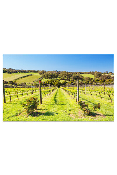 StoryGift Romania Tablou Canvas Livezi Mornington Peninsula In Australia, Agr...