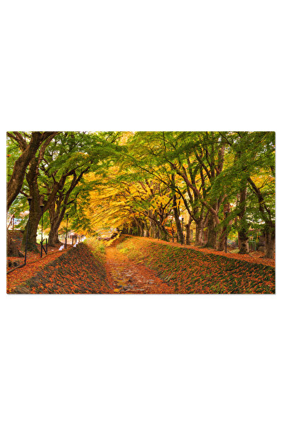 StoryGift Romania Tablou Canvas: Culoare Toamnatica In Gradina - Alee Plina D...