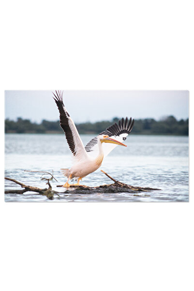 StoryGift Romania Tablou Canvas Cu Apus Si Fauna - Intalnirea Cu Pasarile Ele...