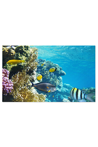 StoryGift Romania Tablou Canvas Cu Lumea Subacvatica - Pesti Colorati Inotand...