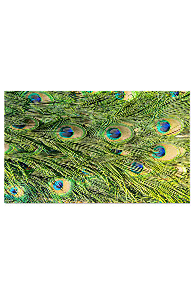 StoryGift Romania Tablou Canvas Penele Unui Paun Natura, Pasare, Paun, Colorat, Frumos 1931